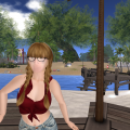 Snapshot 019