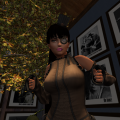 Snapshot 008
