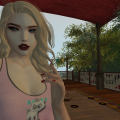 Snapshot 004
