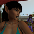 Snapshot 006
