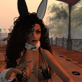 Snapshot 003