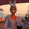 Snapshot 005