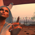 Snapshot 006