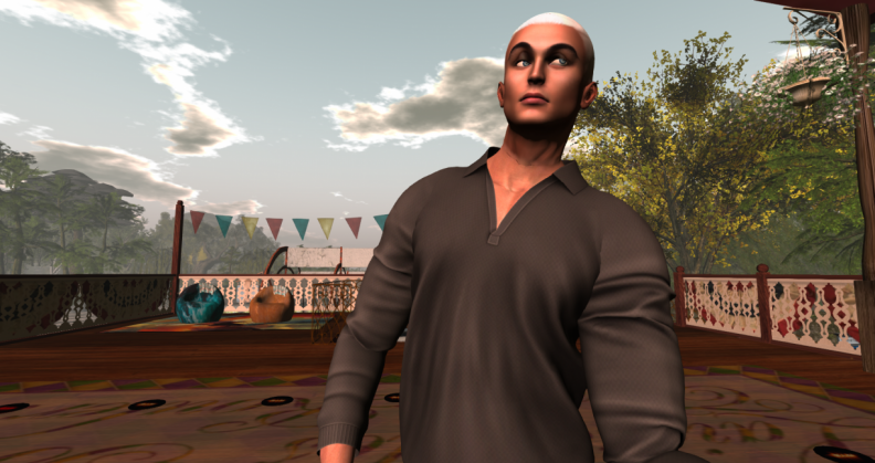 Snapshot_007.png