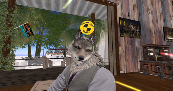 Snapshot 030