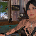 Snapshot 031