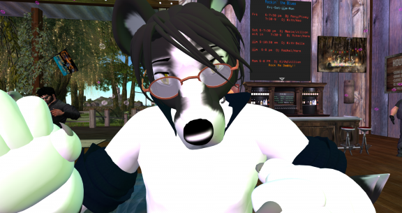 Snapshot 025