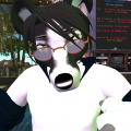 Snapshot 025