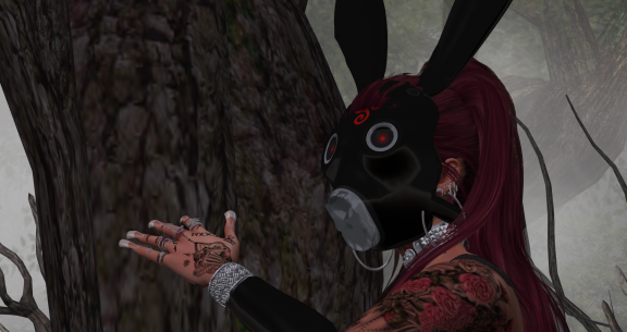 Snapshot 026