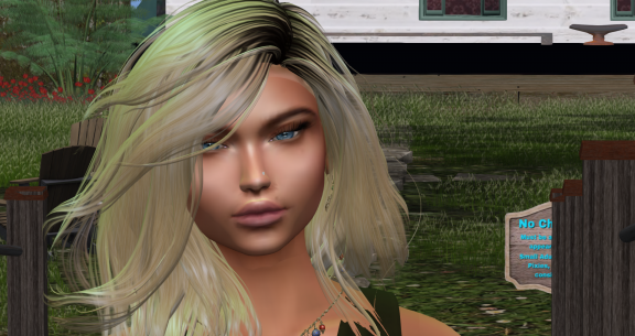 Snapshot 032