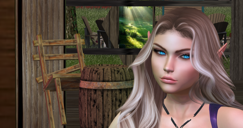 Snapshot_022.png