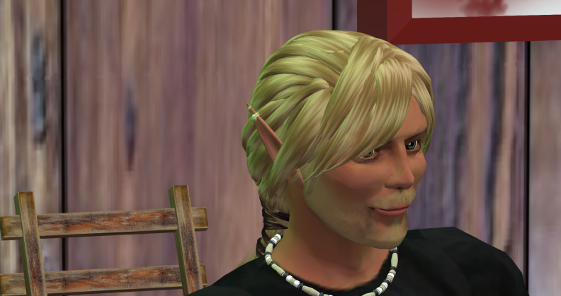Snapshot_033.png