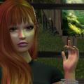 Snapshot 039