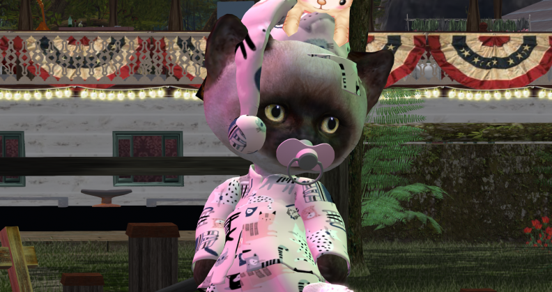 Snapshot_040.png